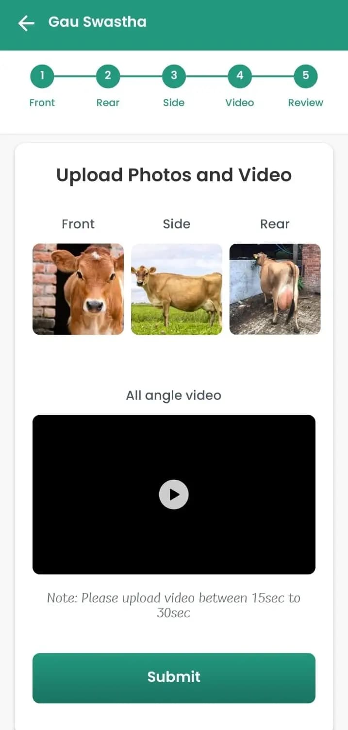 Post your dairy cow for sale online – Easy and free cattle trading