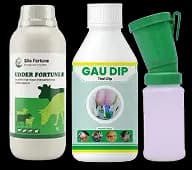 ಮಾಸ್ಟೈಟಿಸ್ ಮುಕ್ತ