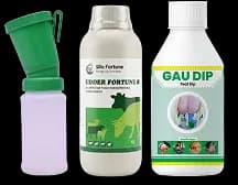 ಹೊಟ್ಟೆಯ ಆರೈಕೆ