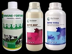 ಬೇಸಿಗೆ ಸಮಸ್ಯೆ