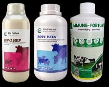 ದೌರ್ಬಲ್ಯ ಆರೈಕೆ