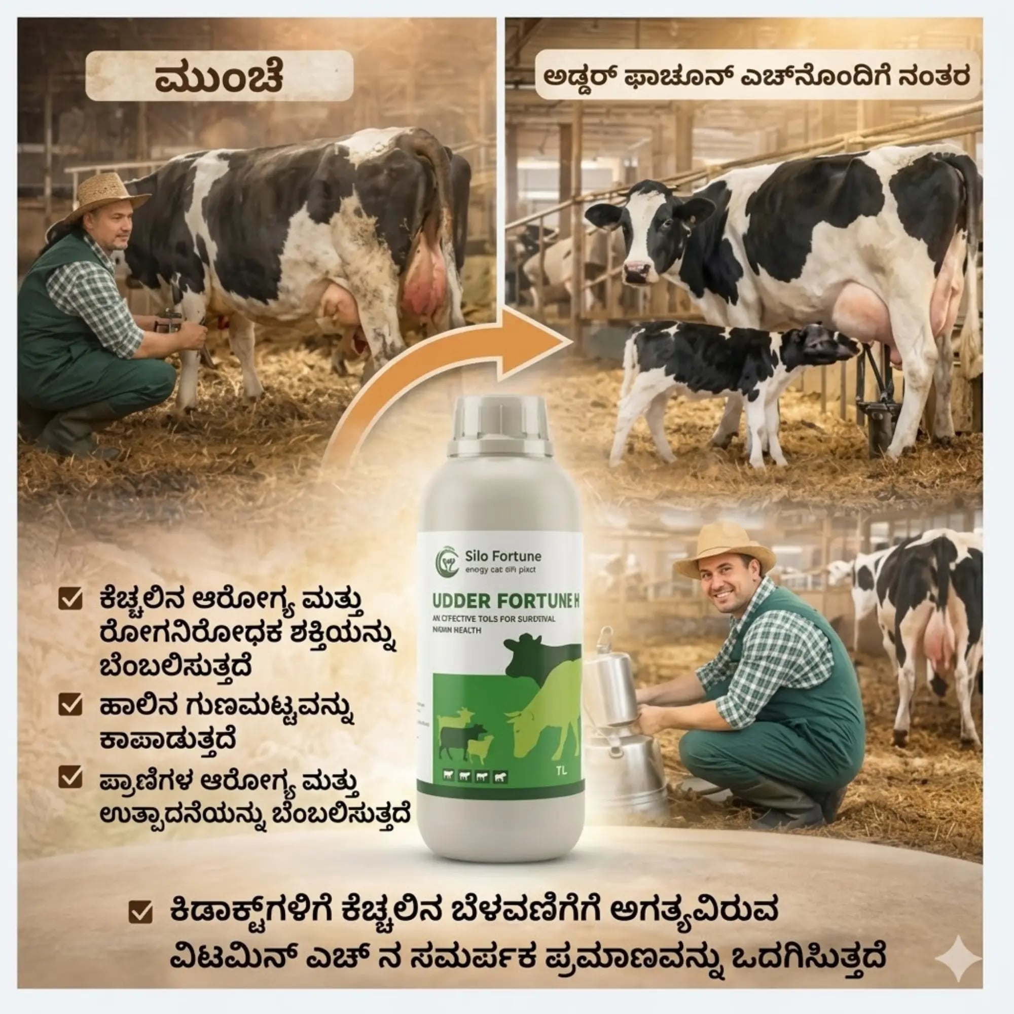 ಉಡ್ಡರ್ ಫಾರ್ಚೂನ್ ಎಚ್ - Main View