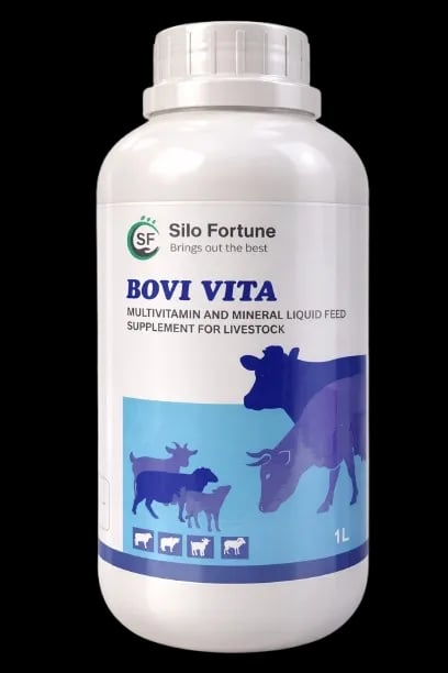 ಬೋವಿ ವೀಟಾ - Main View