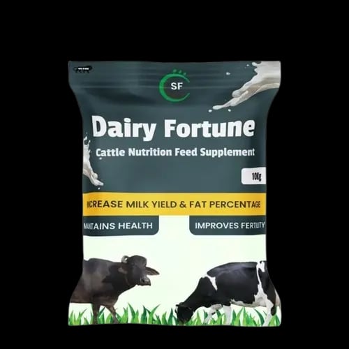 ಡೈರಿ ಫಾರ್ಚೂನ್ - Main View