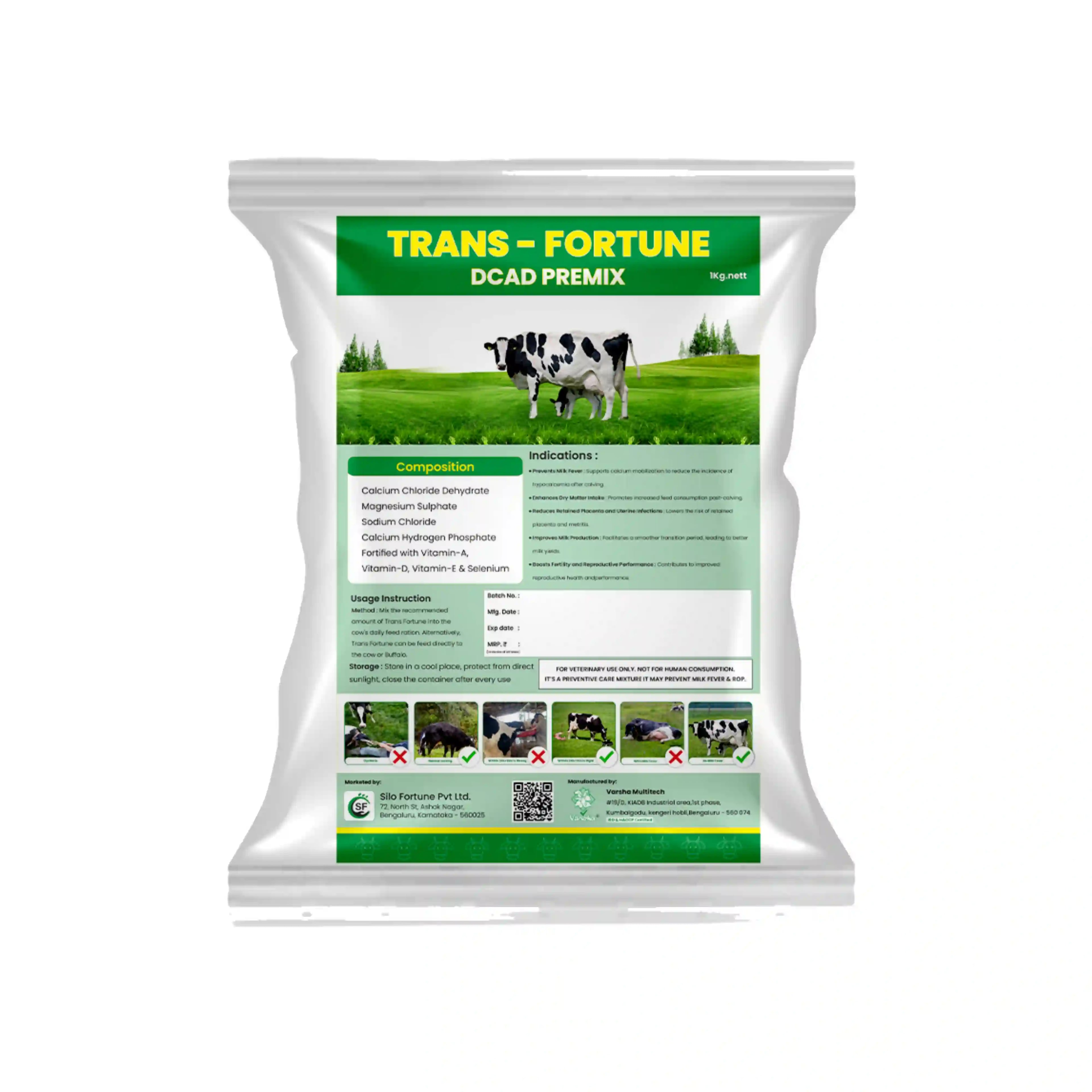 ಟ್ರಾನ್ಸ್ ಫಾರ್ಚೂನ್ - Main View